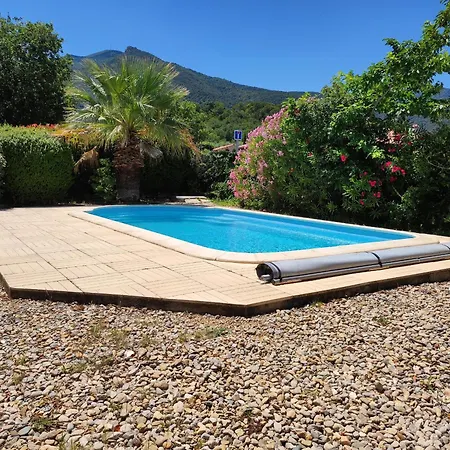 Climatisée Avec Piscine Privative, Près D'argelès, Proche Et Montagnes - Fr-1-776-66